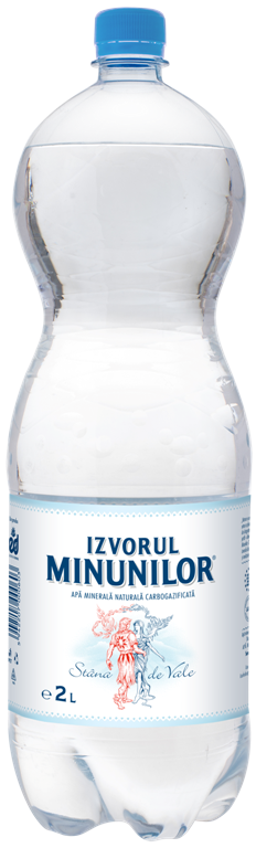APA IZVORUL MINUNILOR CARBO 2L