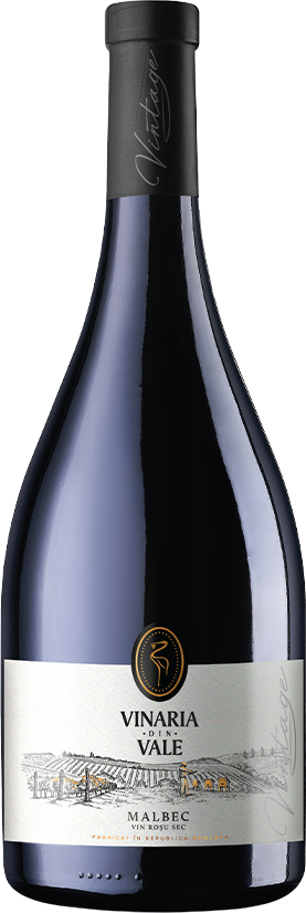 VIN VINARIA DIN VALE VINTAGE MALBEC ROSU SEC 0.75L
