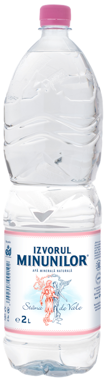 APA IZVORUL MINUNILOR PLATA 2L