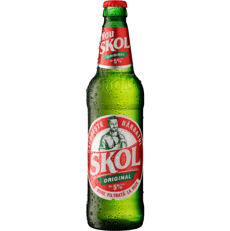 BERE SKOL BLONDA PASTERIZATA FILTRATA 5.0% 0.5L ST 