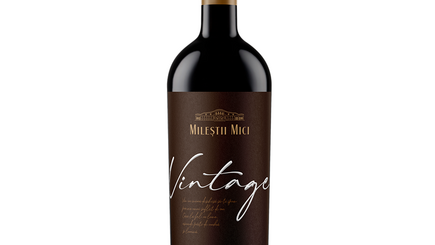 Cumpără VINTAGE MERLOT 2009 ROSU SEC cu livrare în Chișinău